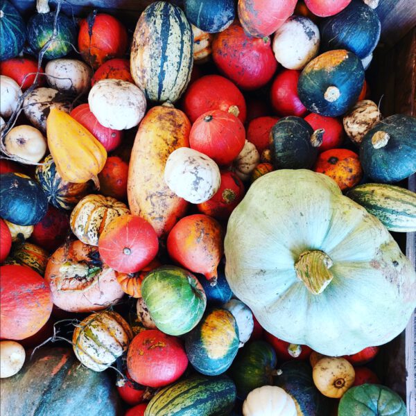 Kookworkshop: 3 gangen diner met herfstproducten