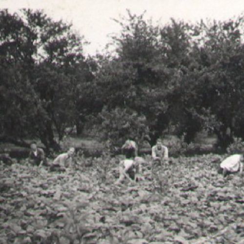 vroeger_inhetveld@2x vroeger_inhetveld@2x