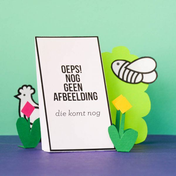 Snack-komkommer (stuk)