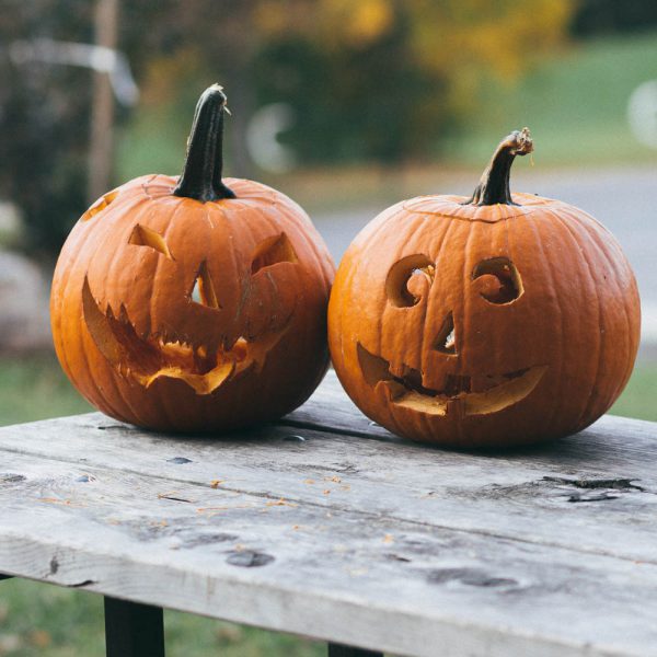 Pompoen: Halloween (+- 5 kg) - Afbeelding 2