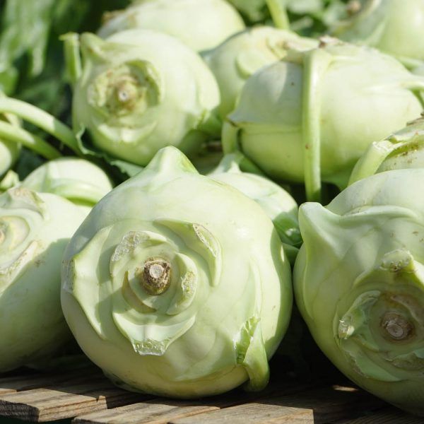 Koolrabi (stuk)