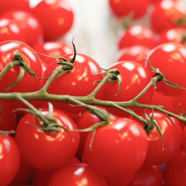 Tomaten: mini trostomaten (1kg)
