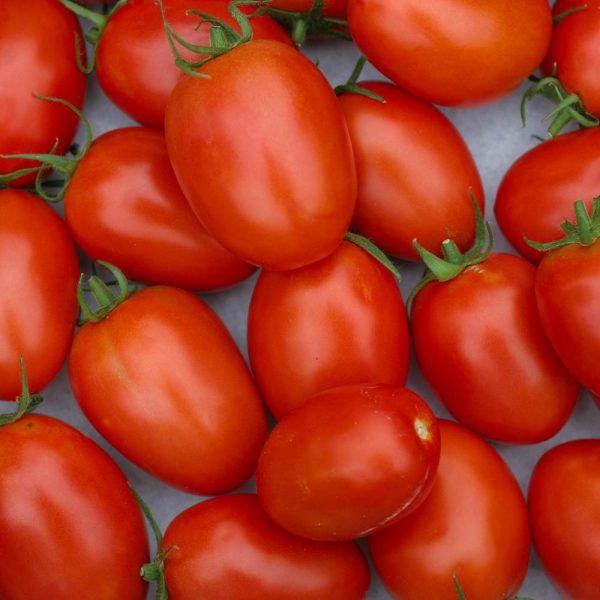 Tomaten: romatomaten (1kg)