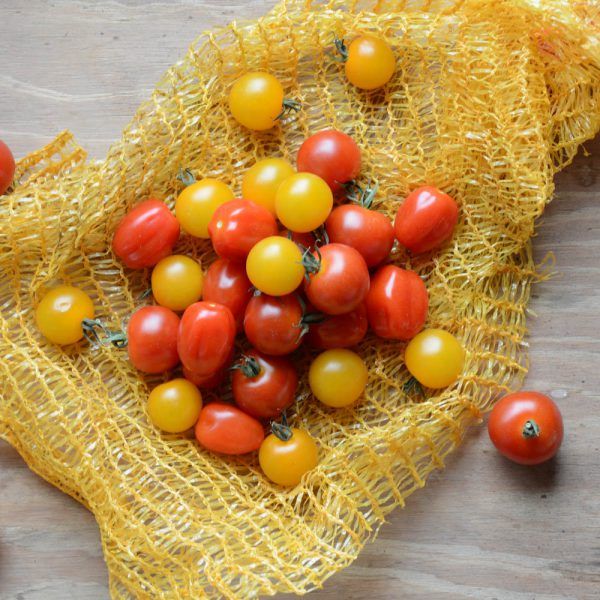 Tomaten: snoeptomaten assorti (500g)