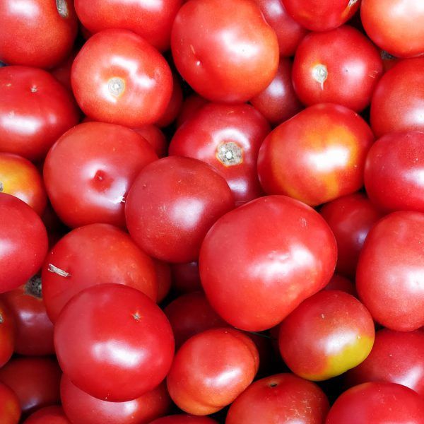 Tomaten: kist soeptomaten (6kg)