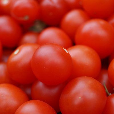 Tomaten: gewoon (1kg)