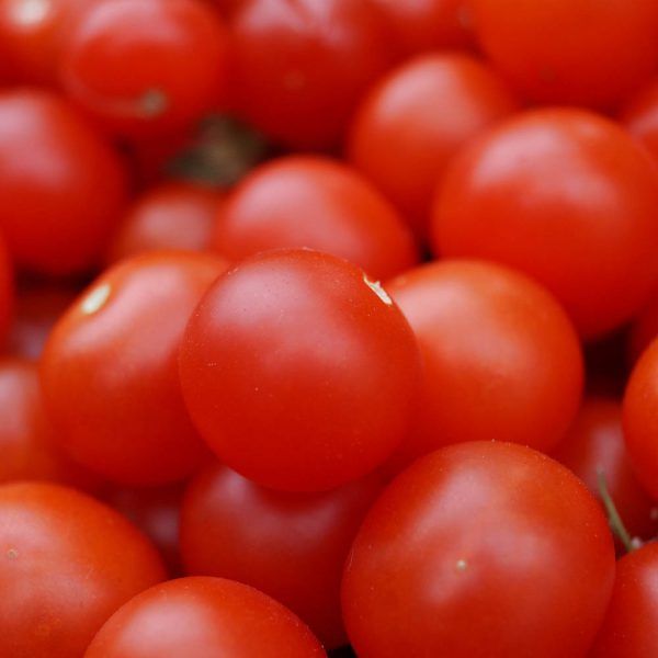 Tomaten: gewoon (1kg)