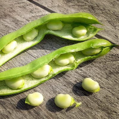 Tuinbonen (1kg)