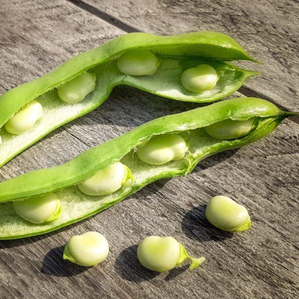 Tuinbonen (1kg)