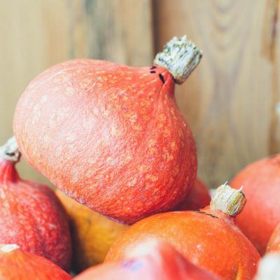 Pompoen: Uchiki Kuri (stuk ±1 kg)