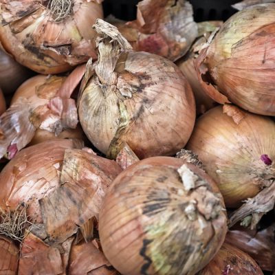 Uien: Wit (1kg)