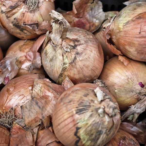 Uien: Wit (1kg)