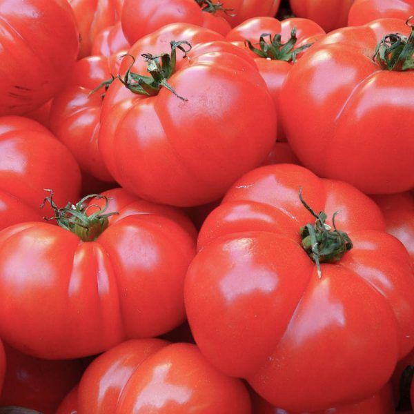 Tomaten: vleestomaten (1kg)